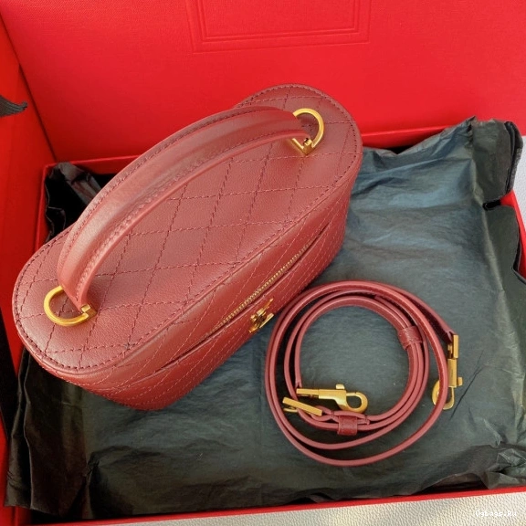 Gaby lambskin vanity in YSL bag 0721